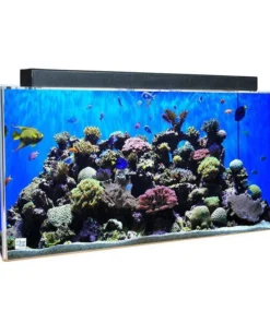 Clear for Life Rectangle 300 Gallon Acrylic Aquarium - Fresh or Saltwater
