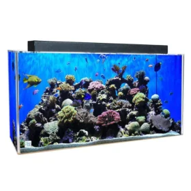 Clear for Life Rectangle 55 Gallon Acrylic Aquarium - Fresh or Saltwater