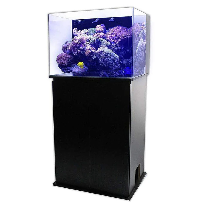 jbj-30-gallon-nano-cube-fresh-or-saltwater-glass-aquarium-rl-30-with-stand