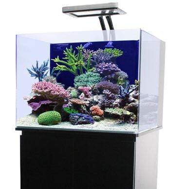 jbj-30-gallon-nano-cube-fresh-or-saltwater-glass-aquarium-rl-30-no stand